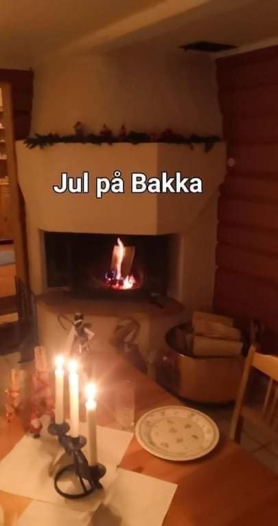 Bakka Villa Hovin Eksteriør billede